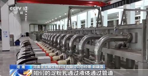 從‘農(nóng)頭’到‘工尾’ 解析玉米豐收背后的漫長(zhǎng)產(chǎn)業(yè)鏈與生物科技新篇章